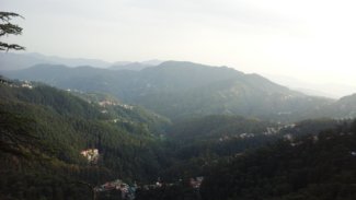 शिमला डायरी